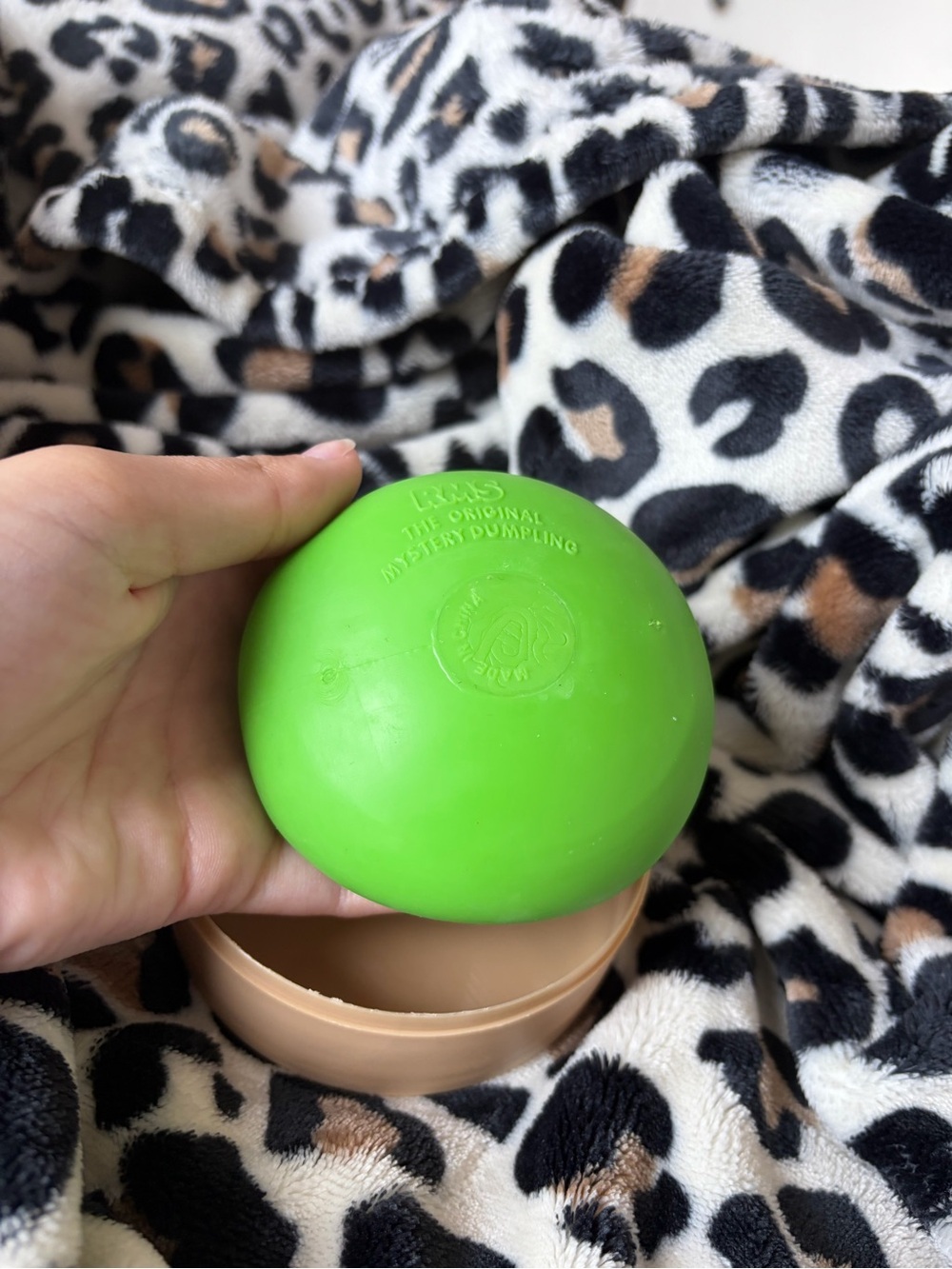 Dumpling Squishy - Picture 11 of 13